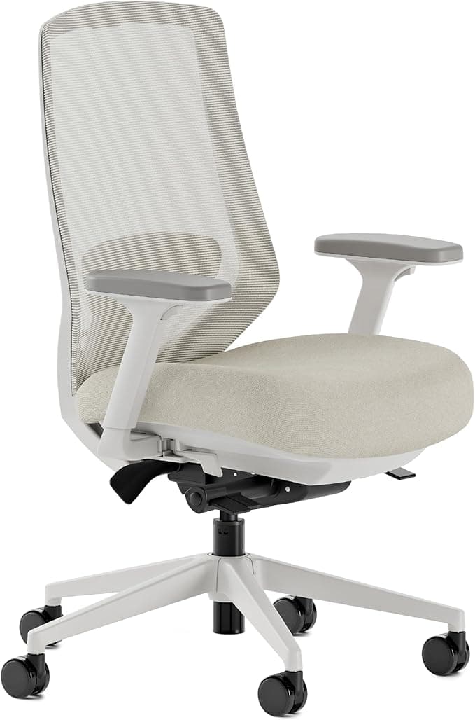 Branch Ergonomic Chair Pro - Mesh Office Chair with 14 Points of Adjustment - Height, Depth & Tilt Adjustable - 5D Armrests - Forward Tilt, Smooth Recline, and Lumbar Support