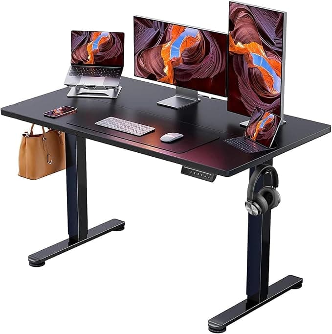 ErGear Height Adjustable Electric Standing Desk, 48 x 24 Inches Sit Stand Desk, Memory Computer Home Office Desk, Black
