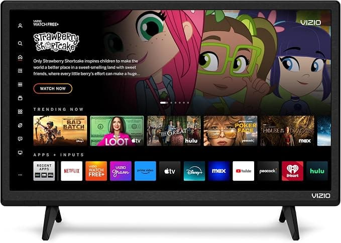 VIZIO 24" D-Series Full HD 1080p Smart TV with Apple AirPlay and Chromecast Built-in